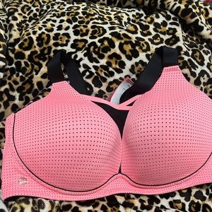 Lane Bryant LiVi